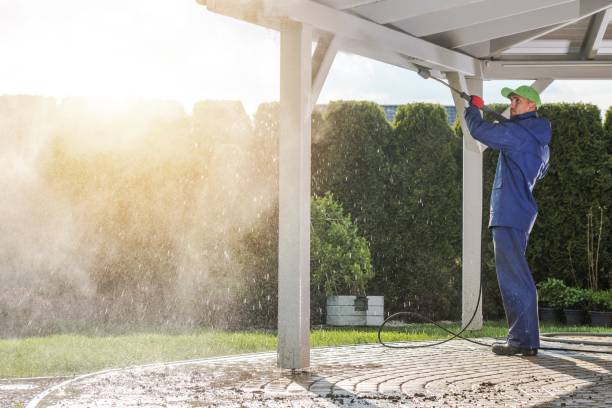 Best House Exterior Washing  in Farmington, IL